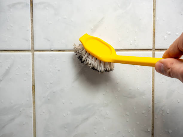 Best Mold Removal and Inspection  in Covington, GA