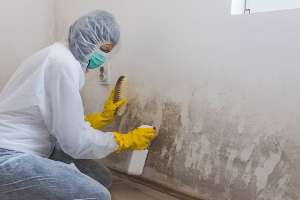 Best Crawl Space Mold Removal  in Covington, GA